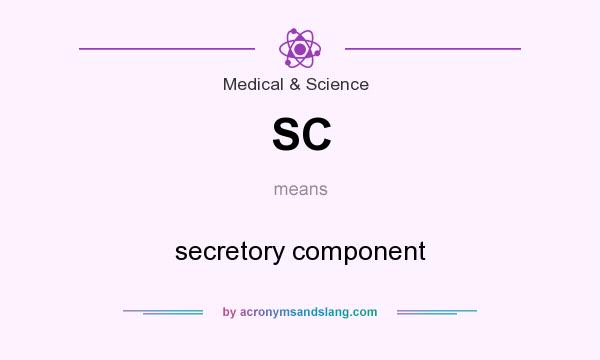 What does SC mean? It stands for secretory component