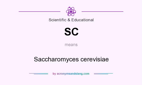 What does SC mean? It stands for Saccharomyces cerevisiae