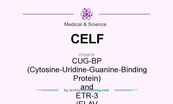 What does CELF mean? It stands for CUG-BP (Cytosine-Uridine-Guanine-Binding Protein) and ETR-3 (ELAV (Embryonic Lethal Abnormal Vision)-Type RNA-Binding Protein) Like Factor