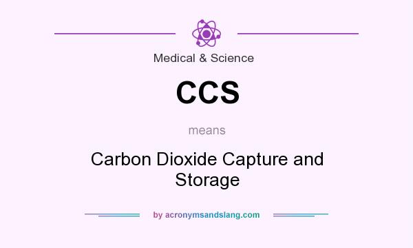 What does CCS mean? It stands for Carbon Dioxide Capture and Storage