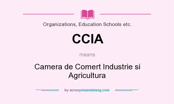 What does CCIA mean? It stands for Camera de Comert Industrie si Agricultura