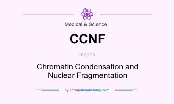 What does CCNF mean? It stands for Chromatin Condensation and Nuclear Fragmentation
