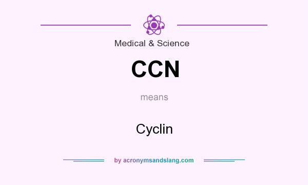 What does CCN mean? It stands for Cyclin