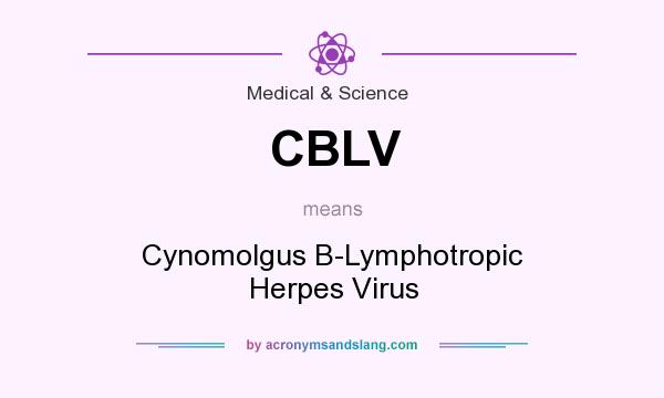 What does CBLV mean? It stands for Cynomolgus B-Lymphotropic Herpes Virus