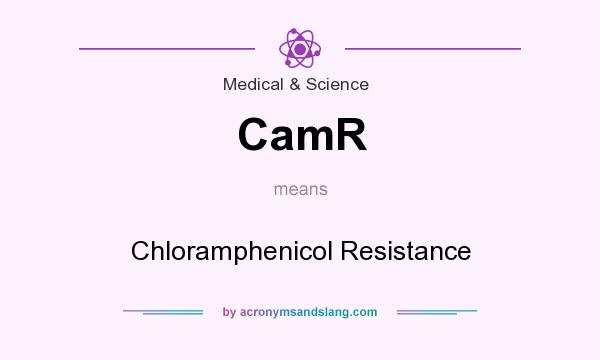 What does CamR mean? It stands for Chloramphenicol Resistance