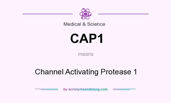 What does CAP1 mean? It stands for Channel Activating Protease 1