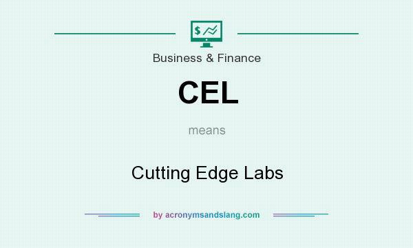 What does CEL mean? It stands for Cutting Edge Labs