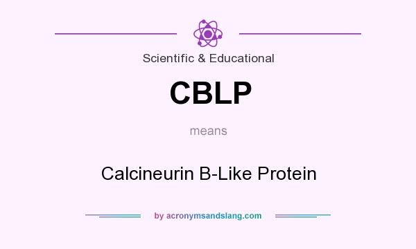 What does CBLP mean? It stands for Calcineurin B-Like Protein