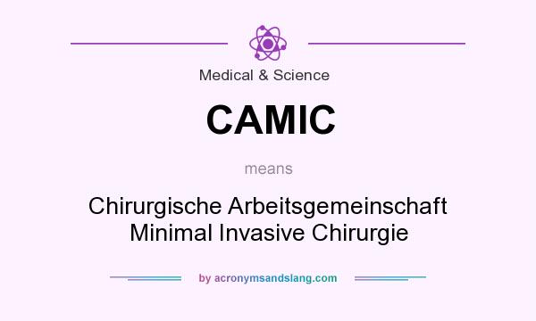 What does CAMIC mean? It stands for Chirurgische Arbeitsgemeinschaft Minimal Invasive Chirurgie