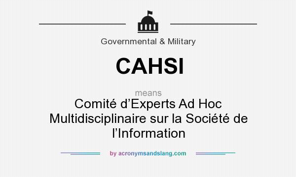 What does CAHSI mean? It stands for Comité d’Experts Ad Hoc Multidisciplinaire sur la Société de l’Information