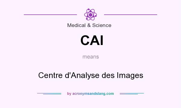 What does CAI mean? It stands for Centre d`Analyse des Images