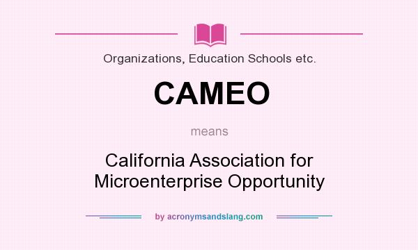 What does CAMEO mean? It stands for California Association for Microenterprise Opportunity