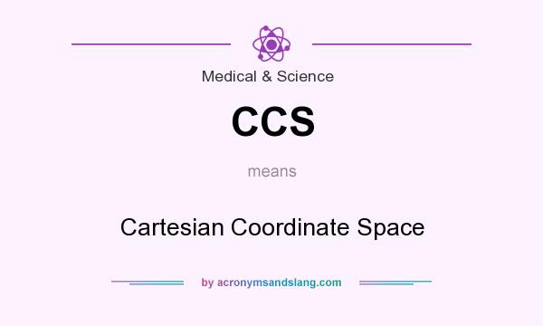 What does CCS mean? It stands for Cartesian Coordinate Space