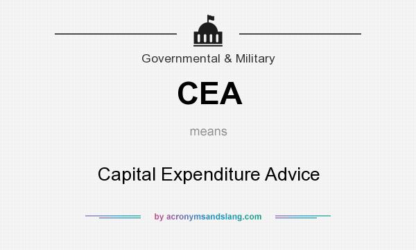 What does CEA mean? It stands for Capital Expenditure Advice