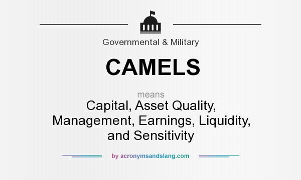 What does CAMELS mean? It stands for Capital, Asset Quality, Management, Earnings, Liquidity, and Sensitivity