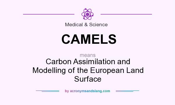 What does CAMELS mean? It stands for Carbon Assimilation and Modelling of the European Land Surface