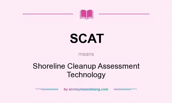 What does SCAT mean? It stands for Shoreline Cleanup Assessment Technology