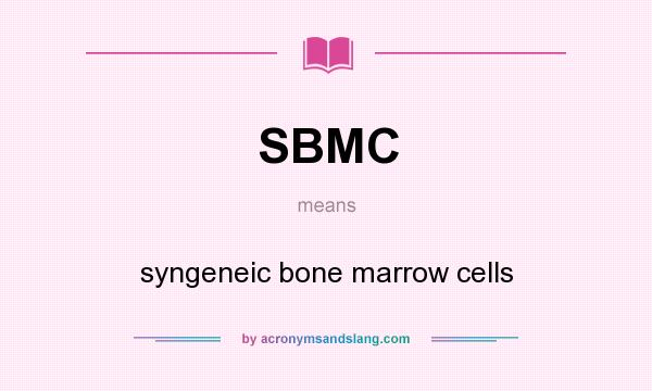 What does SBMC mean? It stands for syngeneic bone marrow cells