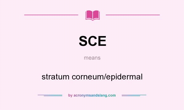 What does SCE mean? It stands for stratum corneum/epidermal