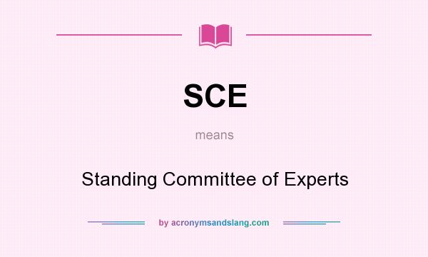 What does SCE mean? It stands for Standing Committee of Experts
