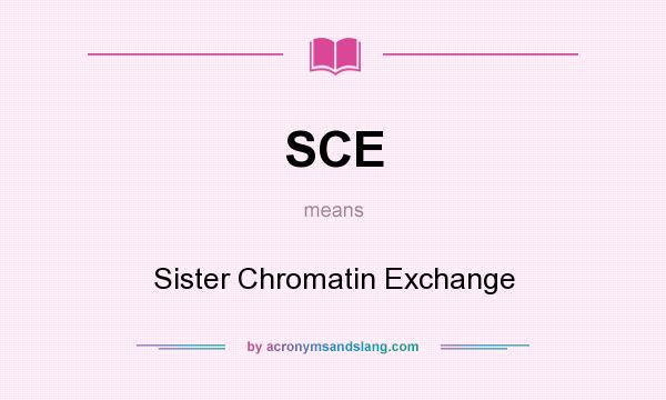 What does SCE mean? It stands for Sister Chromatin Exchange