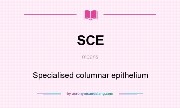 What does SCE mean? It stands for Specialised columnar epithelium