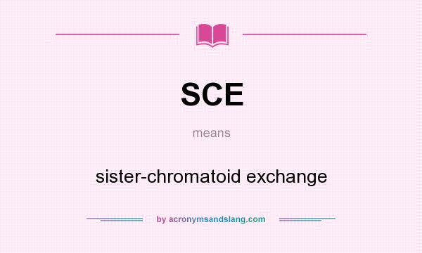 What does SCE mean? It stands for sister-chromatoid exchange