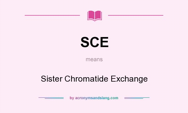 What does SCE mean? It stands for Sister Chromatide Exchange