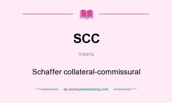 What does SCC mean? It stands for Schaffer collateral-commissural