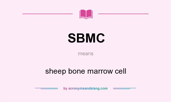 What does SBMC mean? It stands for sheep bone marrow cell