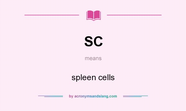 What does SC mean? It stands for spleen cells