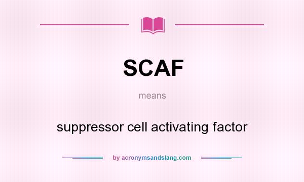 What does SCAF mean? It stands for suppressor cell activating factor