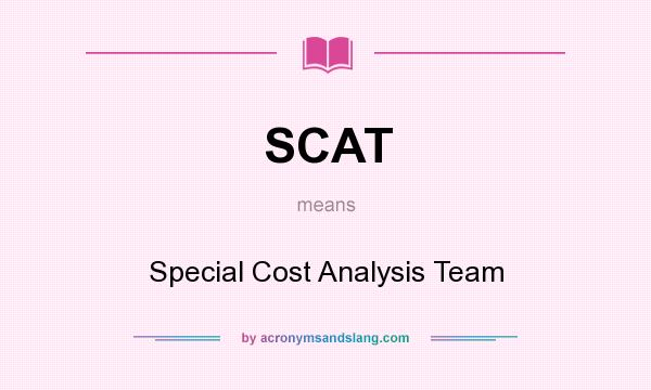 What does SCAT mean? It stands for Special Cost Analysis Team