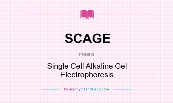 What does SCAGE mean? It stands for Single Cell Alkaline Gel Electrophoresis