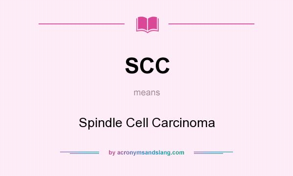 What does SCC mean? It stands for Spindle Cell Carcinoma