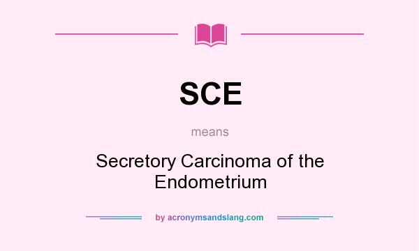 What does SCE mean? It stands for Secretory Carcinoma of the Endometrium