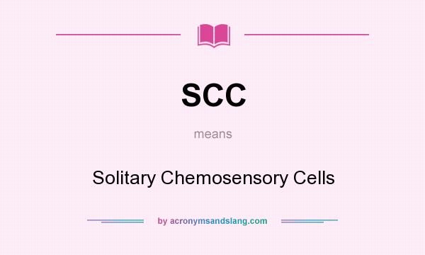 What does SCC mean? It stands for Solitary Chemosensory Cells