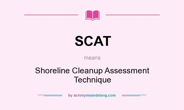 What does SCAT mean? It stands for Shoreline Cleanup Assessment Technique