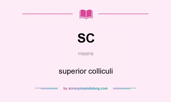 What does SC mean? It stands for superior colliculi