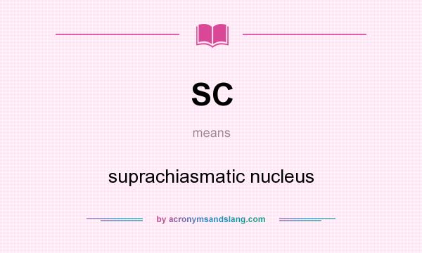 What does SC mean? It stands for suprachiasmatic nucleus