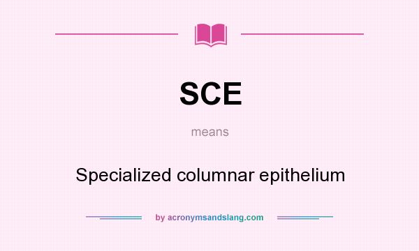 What does SCE mean? It stands for Specialized columnar epithelium