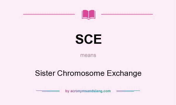 What does SCE mean? It stands for Sister Chromosome Exchange