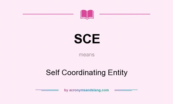 What does SCE mean? It stands for Self Coordinating Entity