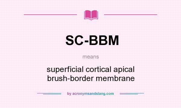 What does SC-BBM mean? It stands for superficial cortical apical brush-border membrane