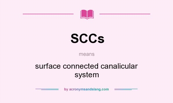 What does SCCs mean? It stands for surface connected canalicular system