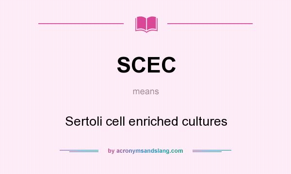 What does SCEC mean? It stands for Sertoli cell enriched cultures