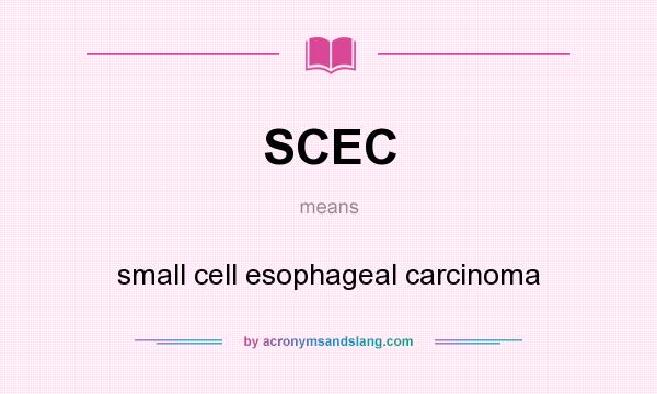 What does SCEC mean? It stands for small cell esophageal carcinoma