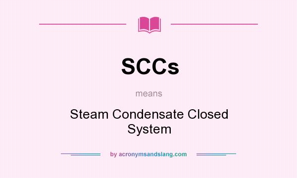 What does SCCs mean? It stands for Steam Condensate Closed System