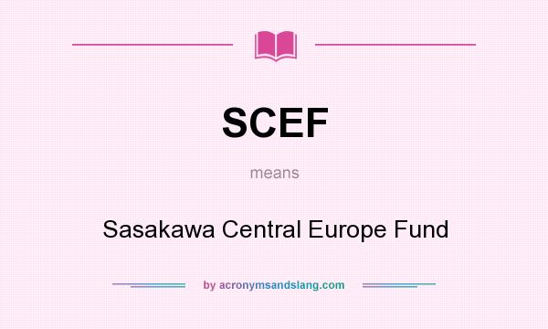 What does SCEF mean? It stands for Sasakawa Central Europe Fund