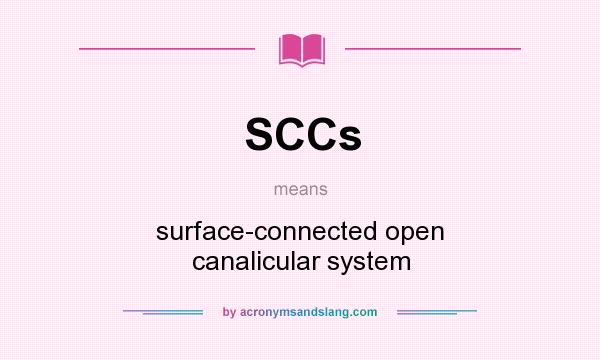 What does SCCs mean? It stands for surface-connected open canalicular system